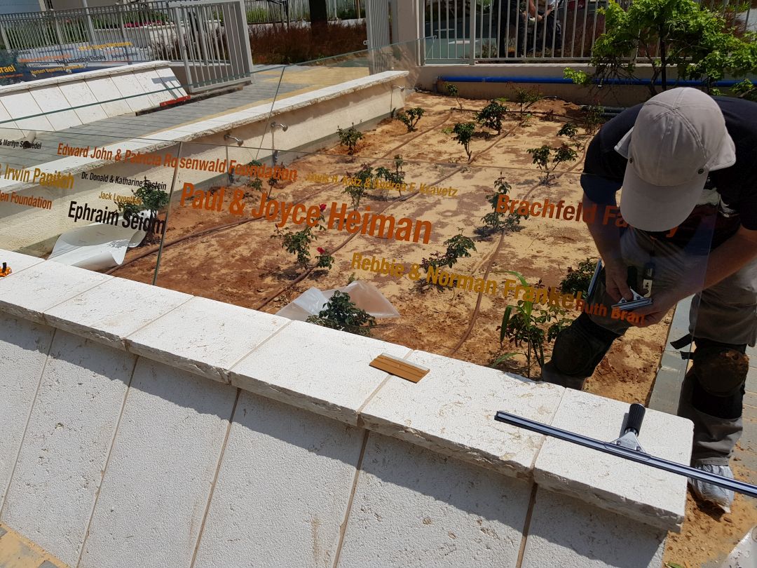 כלבי נחייה שילוט דקורטיבי